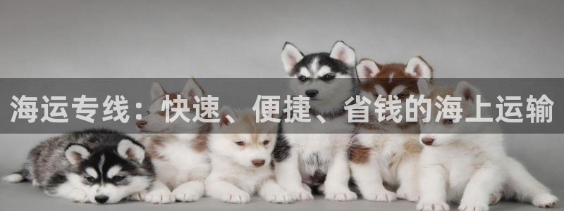 欢迎来到公海堵船