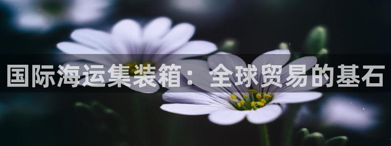 公海船赌网站是多少