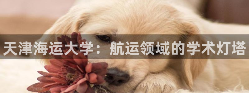 欢迎来公海欢迎来赌船欢迎