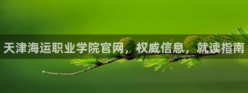 欢迎您来到公海