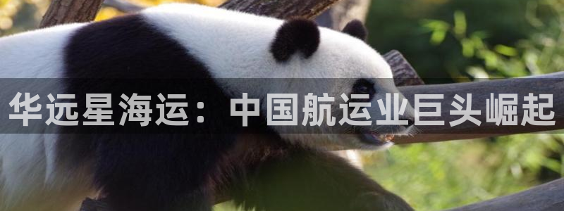 公海赌赌船jcjc710