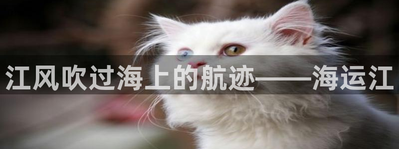 公海赌赌船官网710忘记账号了