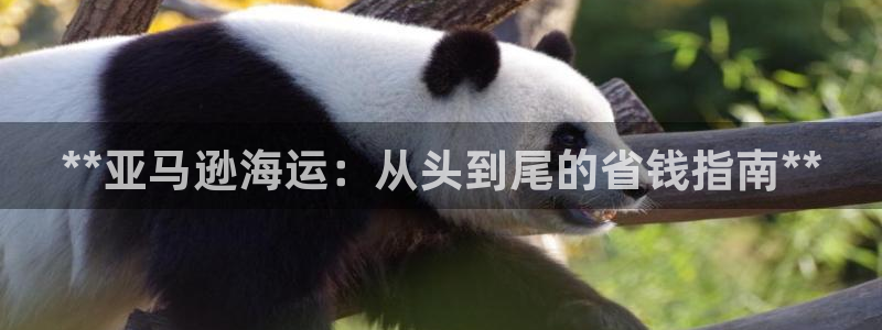 公海赌赌船系统维护要多久